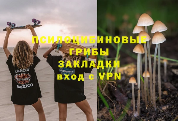 сатива Богданович