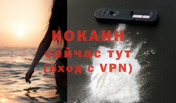 сатива Богданович