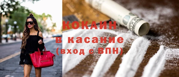сатива Богданович